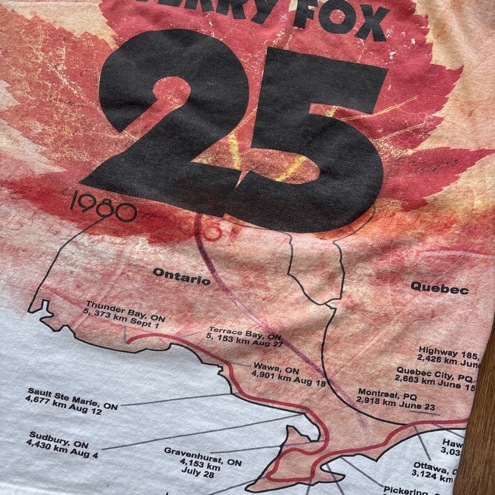 Vintage 2005 Terry Fox 25th Anniversary all over print graphic tee - Picture 7 of 10